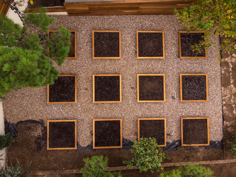 Vegetable Garden